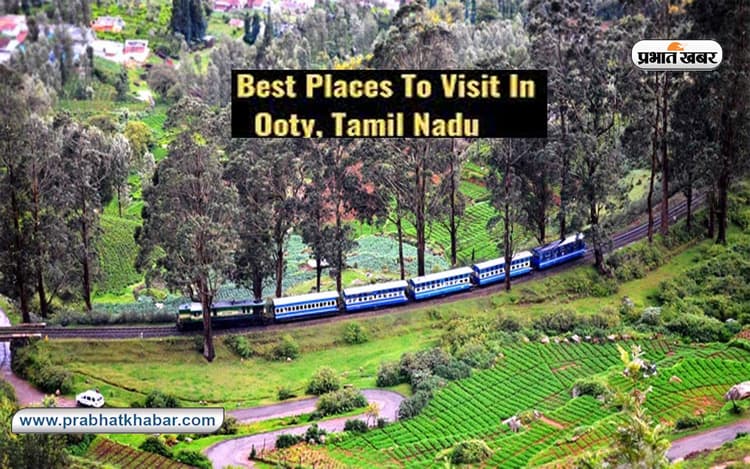 Queen of Hills ऊटी घूमनें का करें ट्रिप प्लान, माउंटेन रेलवे से लेकर थ्रेड गार्डन जैसे जगहों की करें सैर