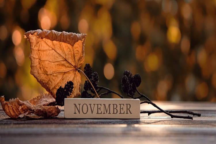 November 2023 में घूमने के लिए बेस्ट हैं भारत की ये जगहें, यहां देखिए लिस्ट