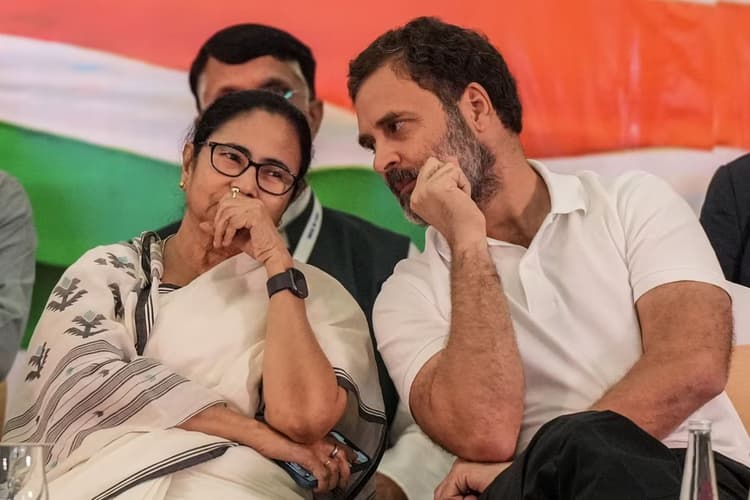 राहुल, मल्लिकार्जुन व शरद पवार ने ममता से की फोन पर चर्चा, 4 नवंबर को नागपुर में हो सकती है I-N-D-I-A की बैठक