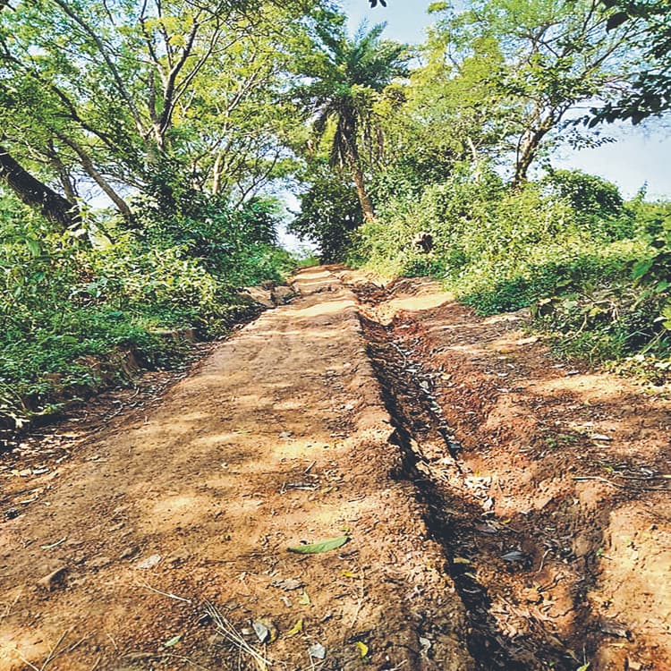 Jharkhand: टापू की जिंदगी जी रहे बहरागोड़ा के बेनागाड़िया गांव के लोग, सड़क बनने का केवल मिलता है आश्वासन