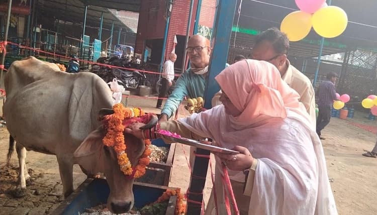 अलीगढ़ में रूबी खान ने मनाई गोपाष्टमी, गौमाता का किया पूजन और खिलाया गुड़-केला