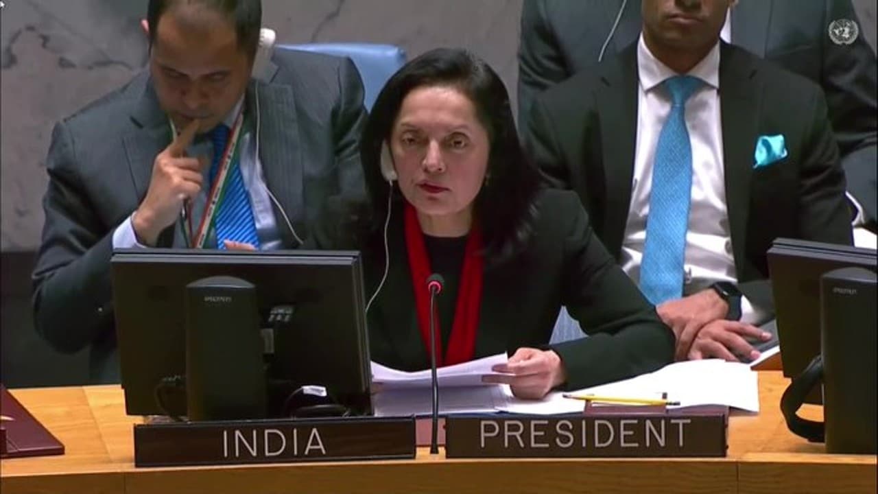 'संयुक्त राष्ट्र सुरक्षा परिषद में कई मौकों पर अकेले ही खड़ा रहा भारत, पर सिद्धांतों से नहीं किया समझौता'