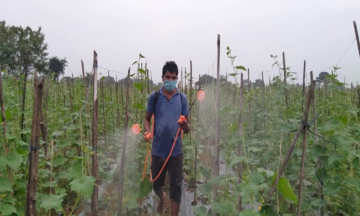 Jharkhand News : 50 लाख की लागत से लगेगा सोलर पावर प्लांट, किसानों को खेती में ऐसे मिलेगी मदद