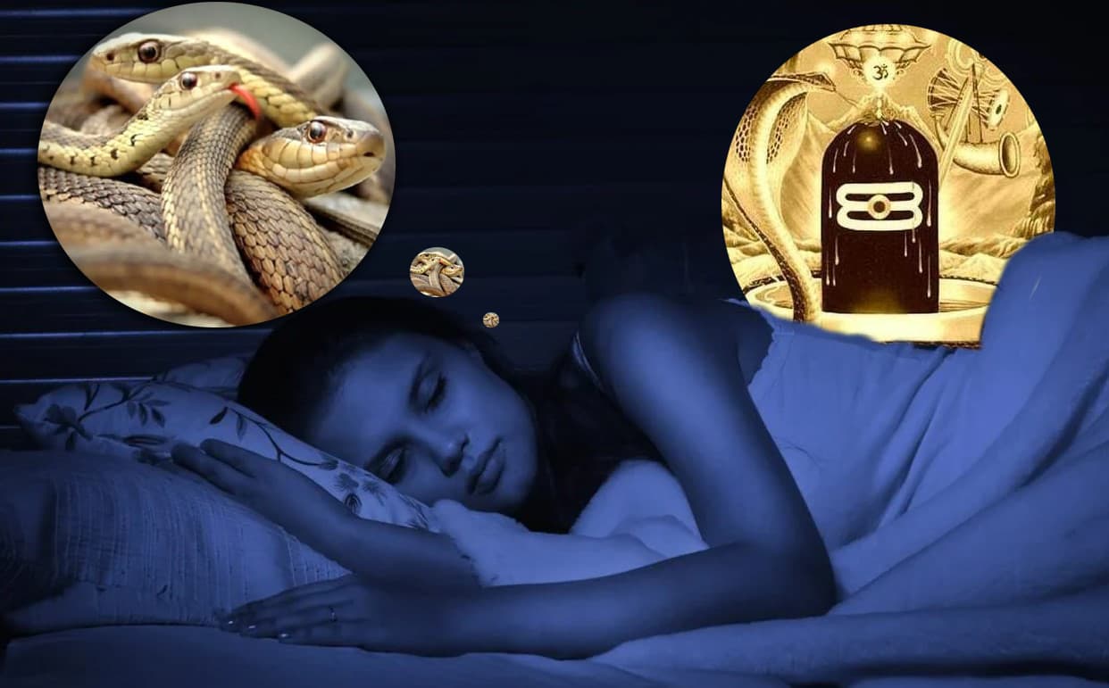 Sapne Me Saap Dekhna: सपने में दिखता है सांप, हल्के में न लें बात, इस सावन करें ये उपाय, टोटके