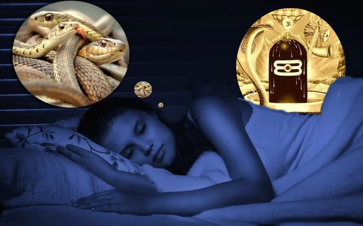 Sapne Me Saap Dekhna: सपने में दिखता है सांप, हल्के में न लें बात, इस सावन करें ये उपाय, टोटके