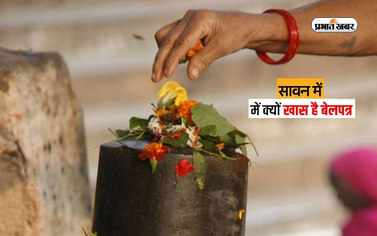 Sawan 2023: सावन में बेलपत्र चढ़ाने से मिलता है ये लाभ, दूर होते हैं हर दुःख और संकट Sawan 2023: सावन में बेलपत्र चढ़ाने से मिलता है ये लाभ, दूर होते हैं हर दुःख और संकट