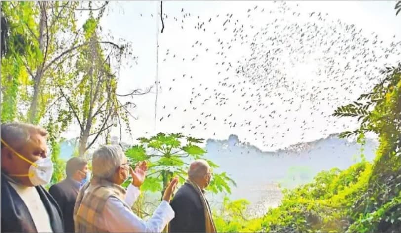 सीएम नीतीश कुमार की दो टूक, जदयू को लेकर किया जा रहा किसी भी तरह का दावा बेबुनियाद सीएम नीतीश कुमार की दो टूक, जदयू को लेकर किया जा रहा किसी भी तरह का दावा बेबुनियाद