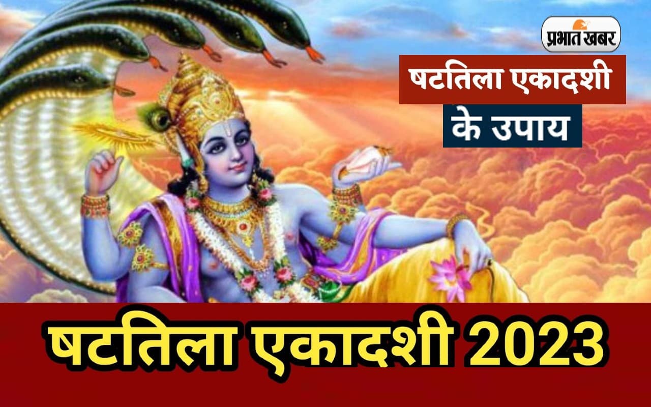 Shattila Ekadashi 2023 Ke Upay: षटतिला एकादशी पर जरूर करें ये उपाय, मिलेगा शुभ फल Shattila Ekadashi 2023 Ke Upay: षटतिला एकादशी पर जरूर करें ये उपाय, मिलेगा शुभ फल