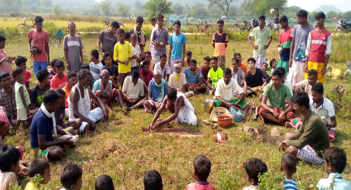 सरायकेला के राजनगर में सोहराय पर्व की धूम, ढोल-नगाड़े पर थिरकते दिखें आदिवासी समुदाय के लोग