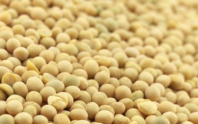 ज्यादा मात्रा में Soyabean का सेवन महिलाओं और पुरुषों को इन 9 तरीकों से पहुंचाता है नुकसान, इन स्थितियों में हो सकता है
स्वास्थ्य के लिए खतरनाक