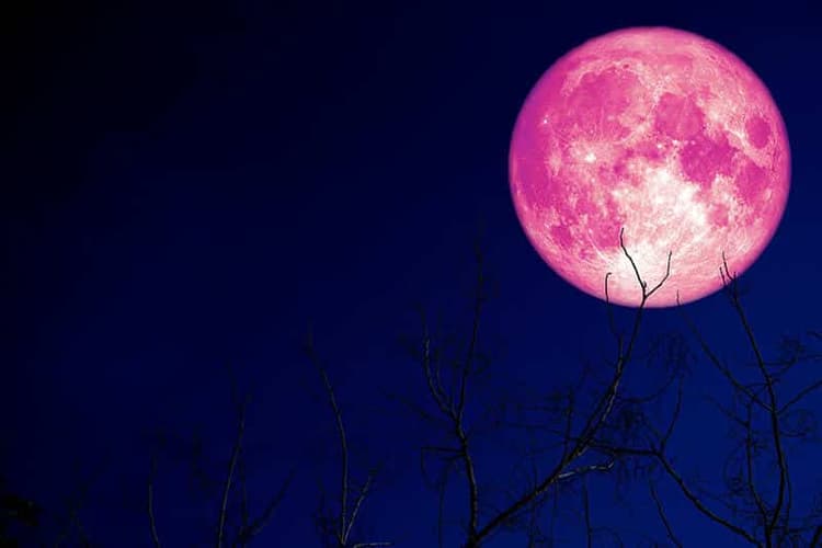 आज शाम सूर्योदय के बाद आसमान में दिखेगा Strawberry Moon, जानें इसका Honey Moon से क्या है संबंध, क्यों आकार में बड़ा और गुलाबी दिखेगा चांद