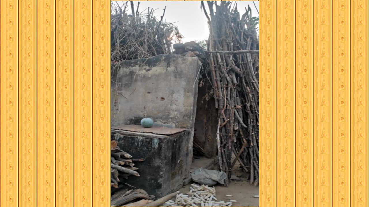 World Toilet Day 2021: गढ़वा में शौचालय निर्माण पर खर्च हुए अरबों रुपये, फिर भी खुले में शौच जाते हैं लोग