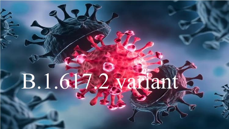 Corona Delta Variant : डेल्टा वेरिएंट के साथ बढ़ने लगा है महाराष्ट्र में संक्रमण का ग्राफ