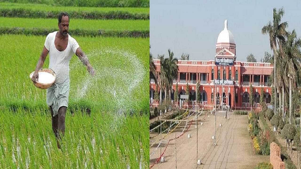 बिहार में वैज्ञानिकों ने तैयार की धान की नयी वेरायटी, किसान अब बेहद कम खर्च में अधिक फसल की कर सकेंगे उपज