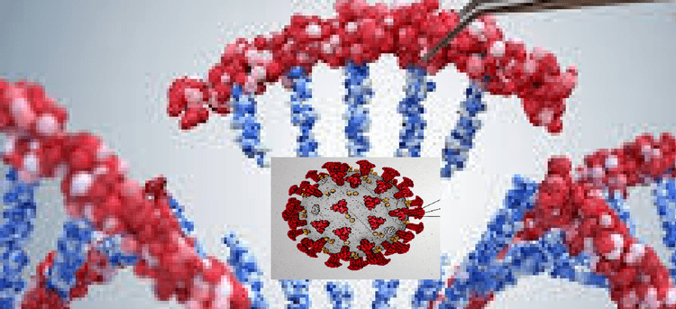 पीएम मोदी की मौजूदगी में बोले सीएम हेमंत सोरेन केंद्र का सहयोग रहा, तो सबसे आगे होगा झारखंड