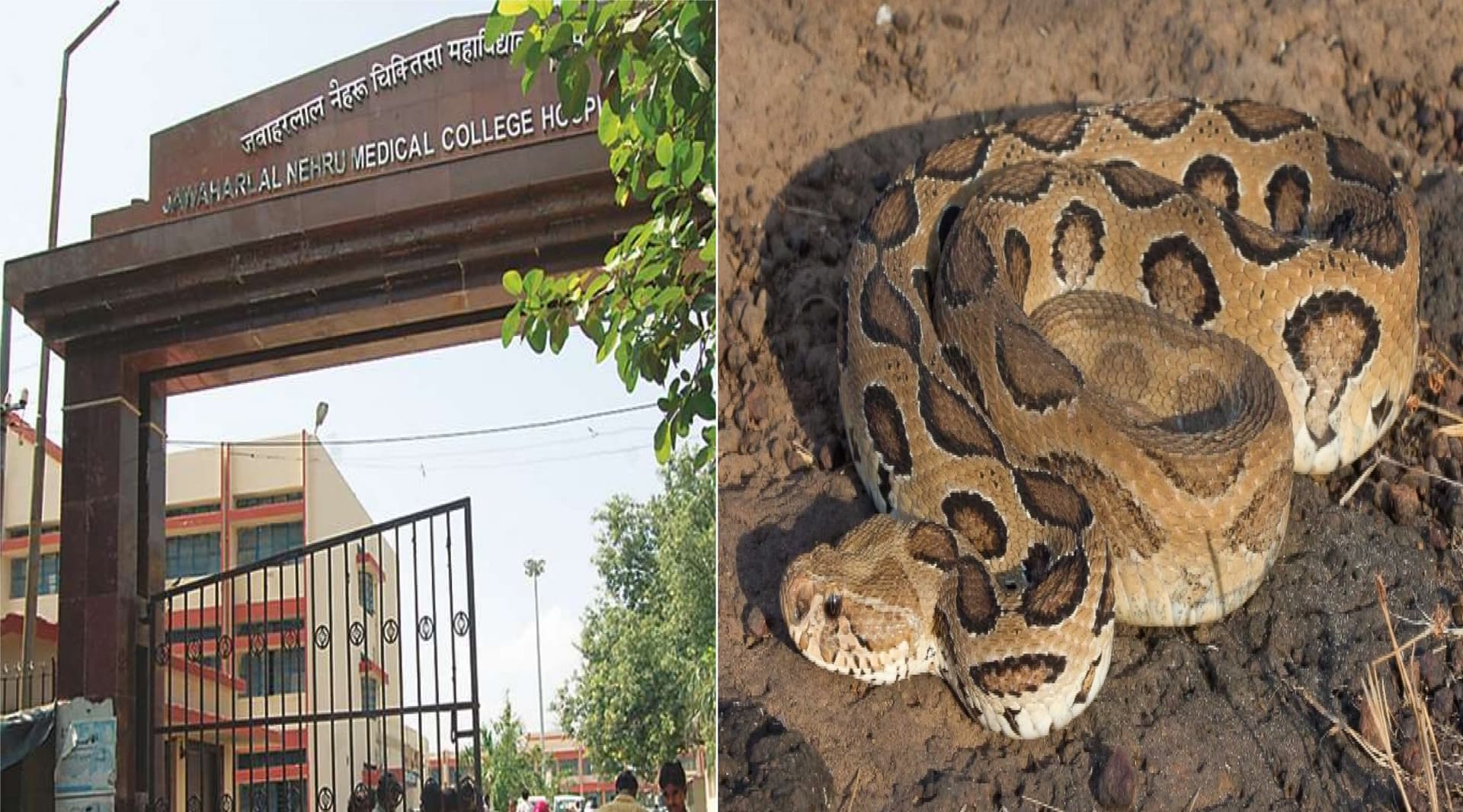 गरहोतिया-जगदीशपुर मार्ग पर बना पुलिया हवा में, आधे हिस्से में पिलर टूटा, कभी भी हो सकता है बड़ा हादसा