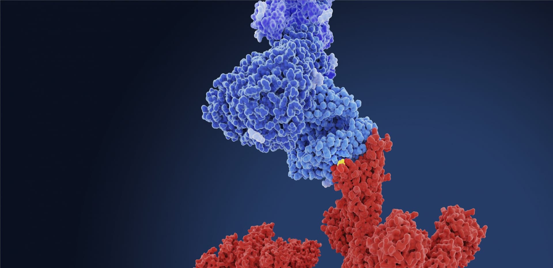 Bihar: अब लौट के आइए बिहार, पलायन पर सरकार ने किया बड़ा प्रहार, दूसरे राज्य से यहां काम करने आएंगे लोग