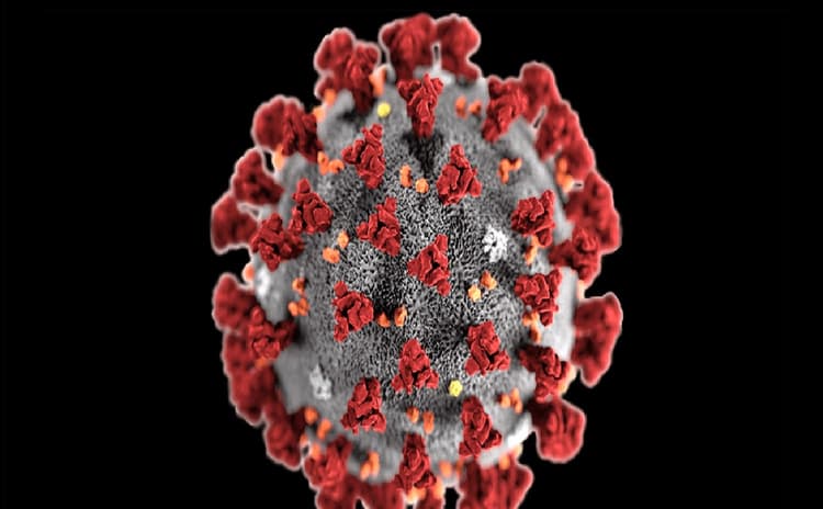 Chhath Geet: भोजपुरी सुपरस्टार Pawan singh का यह पारंपरिक छठ गीत मचा रहा धूम, देखें वीडियो