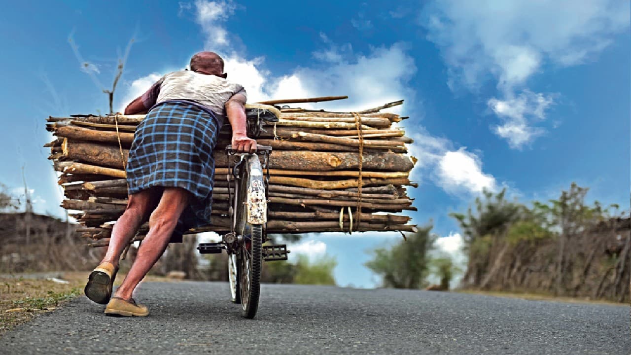 Jharkhand News: …तो रेगिस्तान बन जायेगा पलामू, जानिए क्यों तेजी से हो रहा जलवायु परिवर्तन Jharkhand News: …तो रेगिस्तान बन जायेगा पलामू, जानिए क्यों तेजी से हो रहा जलवायु परिवर्तन
