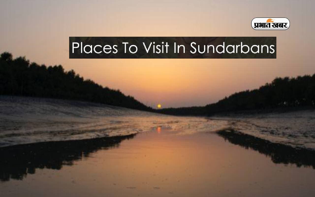 West Bengal Tourist Destinations: दुनिया का सबसे बड़े मैंग्रोव ईकोसिस्टम की करना है सैर, तो जाएं सुंदरवन West Bengal Tourist Destinations: दुनिया का सबसे बड़े मैंग्रोव ईकोसिस्टम की करना है सैर, तो जाएं सुंदरवन