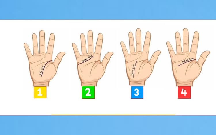आपकी हथेली में छुपे हैं पर्सनालिटी के राज, जानिए स्वभाव और लक्षण जानिए