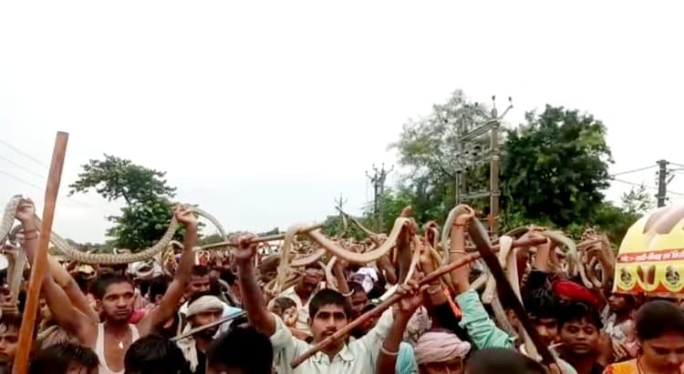 बिहार में सांपों का लगा मेला,भगत पोखर से निकाले विषैले सांप और गले में लपेट घुमने लगे शहर