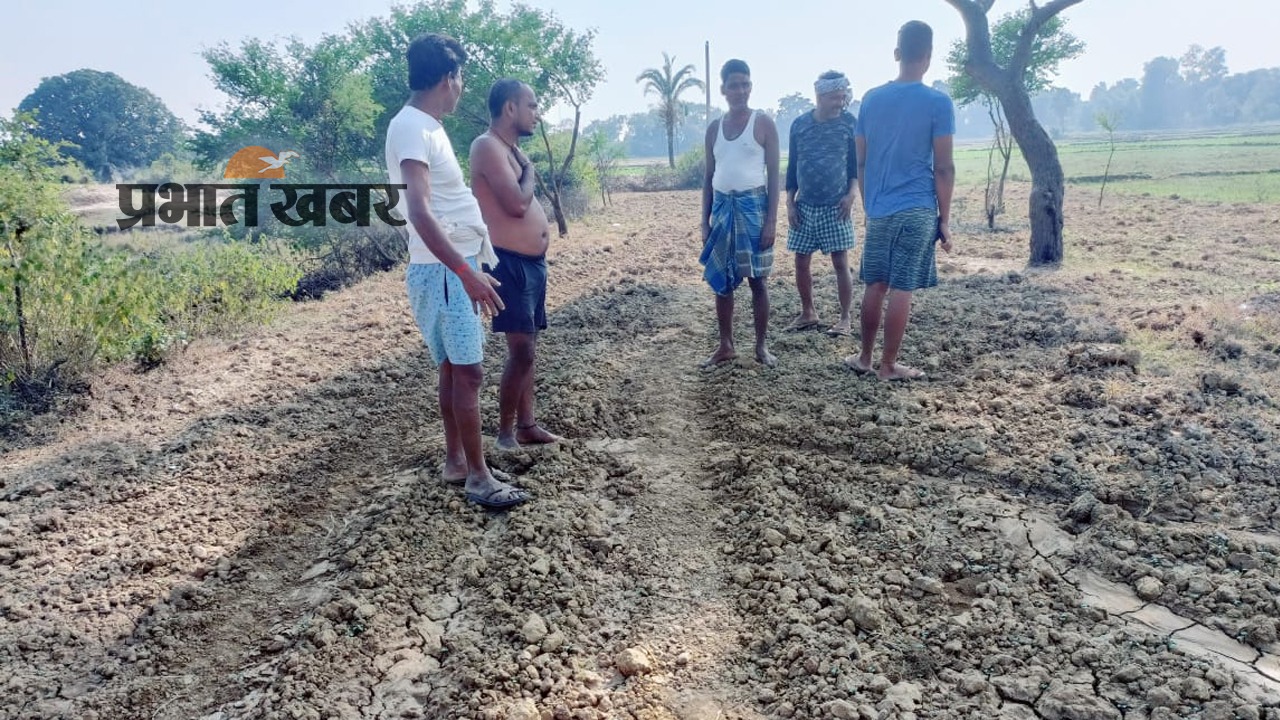 Video: बिहार में रातों-रात गायब हो गई सड़क, एफआईआर दर्ज, जानें क्या है पूरा मामला Video: बिहार में रातों-रात गायब हो गई सड़क, एफआईआर दर्ज, जानें क्या है पूरा मामला