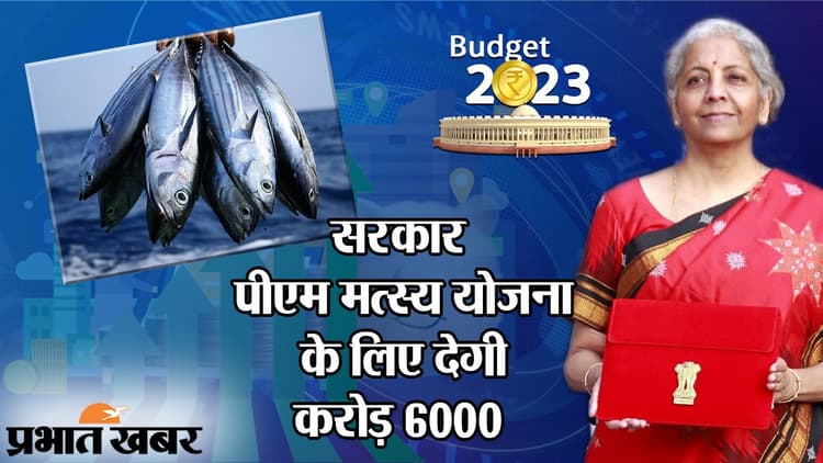 Budget 2023: सरकार पीएम मत्स्य योजना के लिए देगी 6000 करोड़,जानें बिहार में क्या है स्थिति और कैसे मिलेगा पैसा