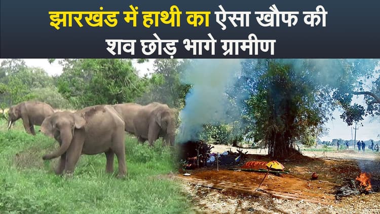 Video : झारखंड में हाथी का ऐसा खौफ की शव छोड़ भागे ग्रामीण