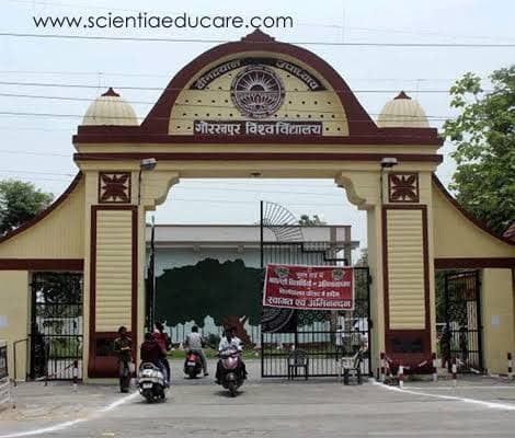 UP News :कॉलेज ही कराएंगे प्रैक्टिकल एग्जाम , GU ने सभी पाठ्यक्रमों में चॉइस बेस्ड क्रेडिट सिस्टम किया लागू