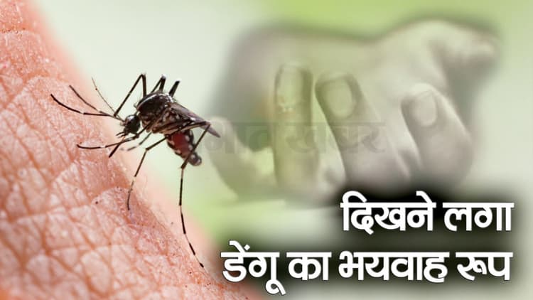 बिहार में डेंगू का प्रकोप, आरा में एक की मौत, राज्य में संक्रमितों की संख्या 3500 के करीब पहुंची