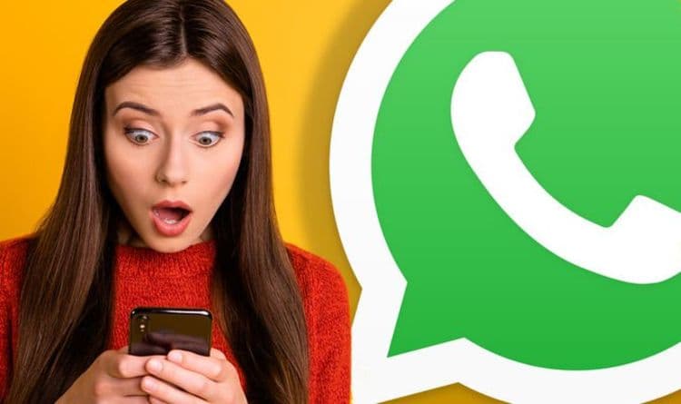 WhatsApp पर हर रोज कितने मैसेज भेजे जाते हैं? जवाब जानकर उड़ जाएंगे आपके होश WhatsApp पर हर रोज कितने मैसेज भेजे जाते हैं? जवाब जानकर उड़ जाएंगे आपके होश