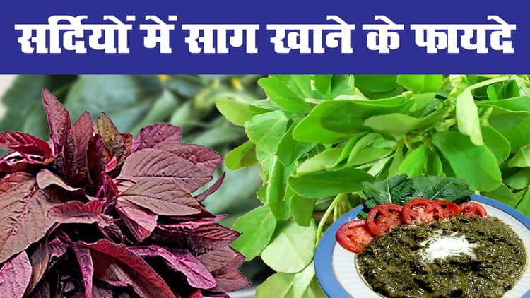 सर्दियों में पालक, मेथी, बथुआ, सरसों के साग खाने के अद्भूत फायदे, बाल झड़ने, ब्लड प्रेशर, मोटापा से लेकर इम्यूनिटी बढ़ाने तक में लाभदायक