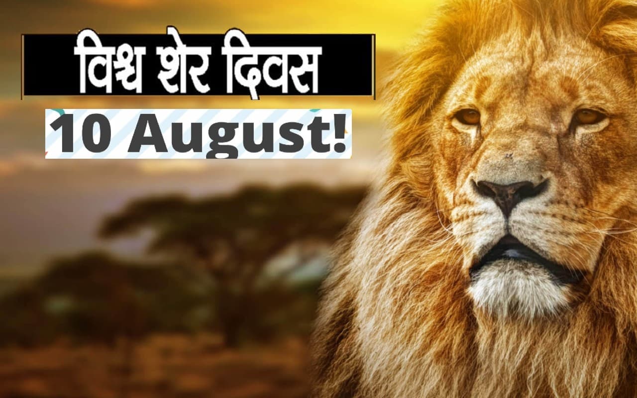 World Lion Day 2022: आज मनाया जा रहा है विश्व शेर दिवस, जाने इसके महत्व और इतिहास