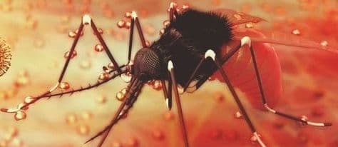 Zika Virus: कानपुर में जीका वायरस का कोहराम, अब तक 11 संक्रमित, इन इलाकों में अलर्ट जारी