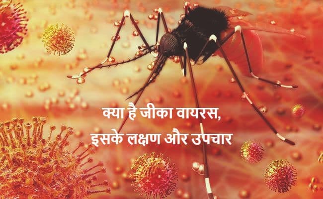 Zika Virus Symptoms: जीका वायरस कितना खतरनाक? जानें कैसे करता है संक्रमित, क्या है इसके लक्षण व बचाव के उपाय