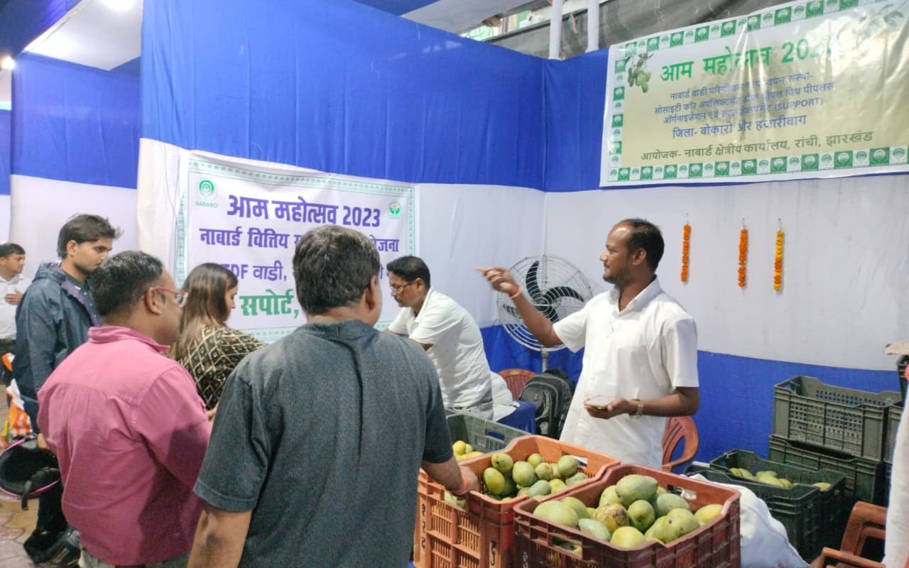 PHOTOS: रांची में आम महोत्सव, मिल रहा 'केमिकल फ्री' आम, जानें खासियत