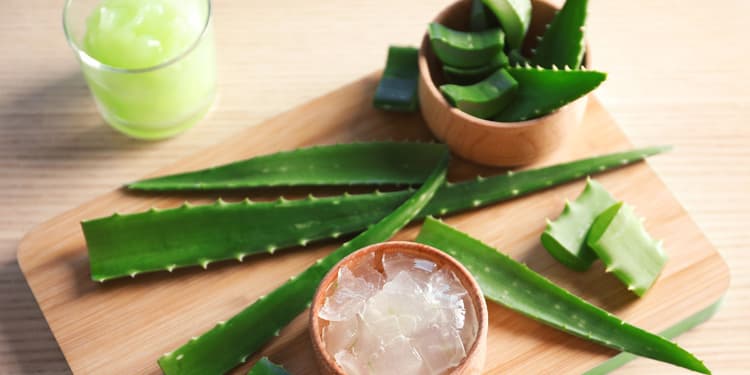 Aloe Vera Gel : तरोताजा और दमकती त्वचा के लिए घर पर आसानी से बनाएं एलोवेरा जेल