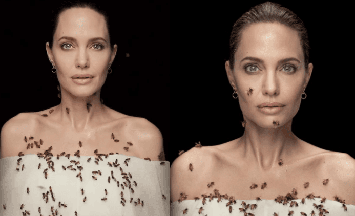 18 मिनट तक एंजेलिना जोली के शरीर पर चिपकी रहीं मधुमक्खियां, कुछ इस तरह शूट हुआ ये फोटोशूट, VIDEO