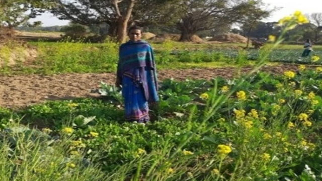 मनरेगा और दीदी बाड़ी योजना से जुड़कर ग्रामीण महिलाओं की बदल रही जिंदगी,आत्मनिर्भरता के साथ मिल रहा सम्मान