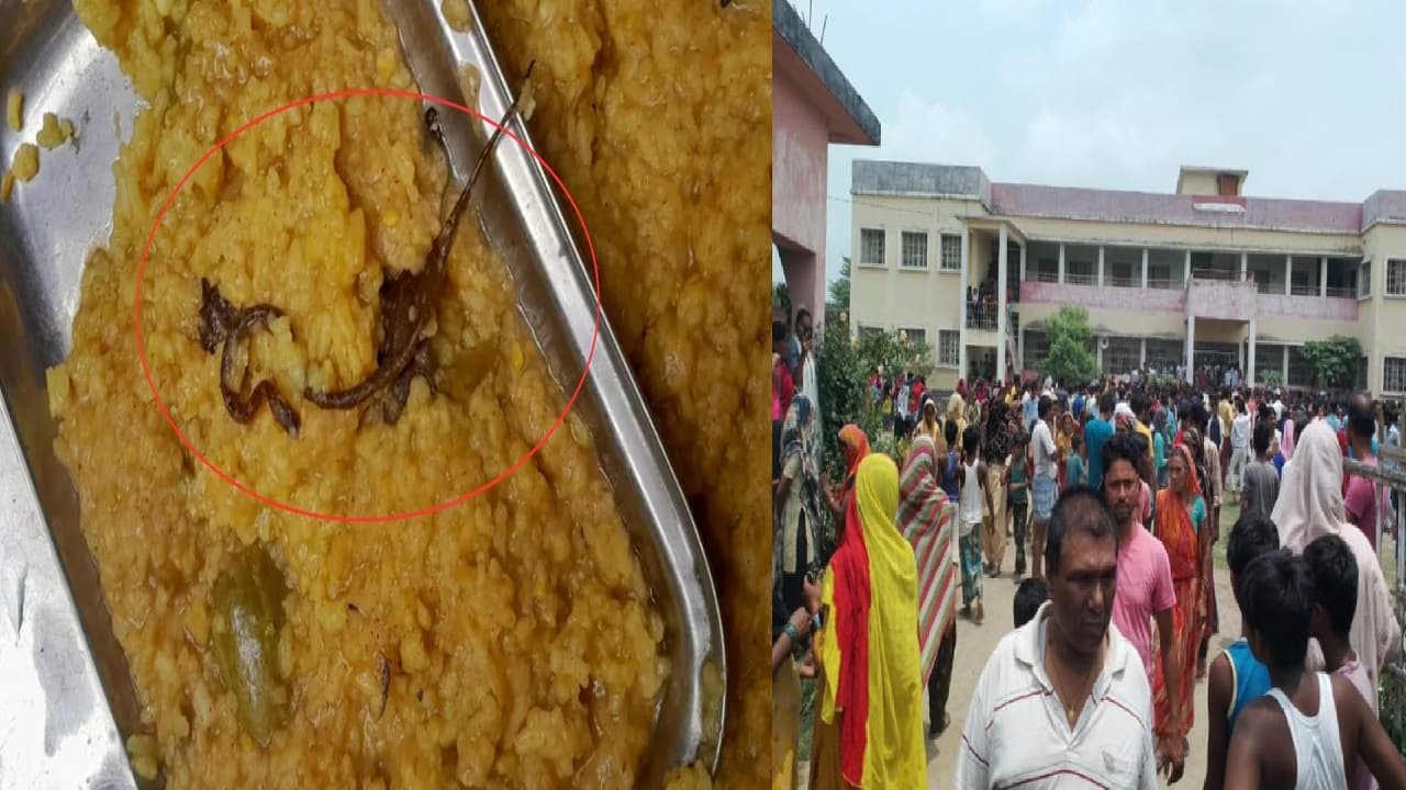 बिहार: अररिया में मिड डे मील में मिला सांप, 150 से अधिक बच्चों ने खाया था खाना, कई बच्चे अस्पताल में भर्ती