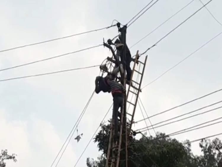 भागलपुर में तार जोड़ने में हुई देरी पर लोगों ने लाइनमैन की पिटाई की, विद्युत कर्मी ने इस तरह लिया बदला