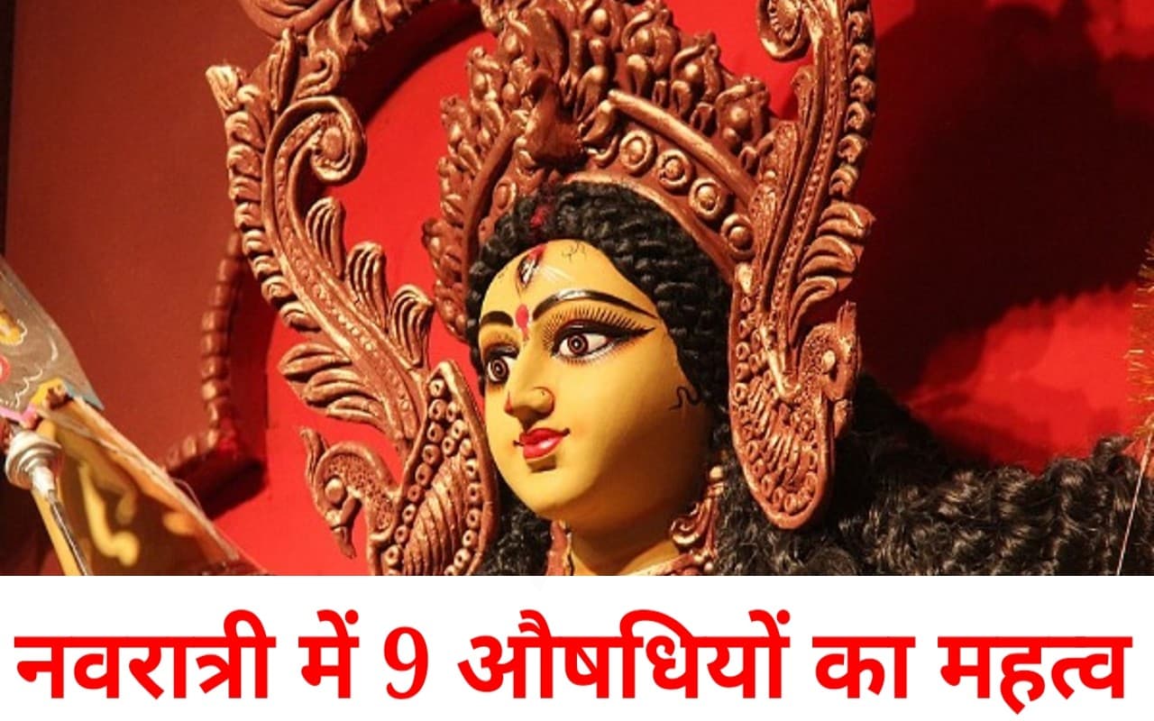 Navratri 2022: आयुर्वेद और नवरात्र के बीच का गहरा संबंध, जानें सेहत के लिए कैसे है फायदेमंद