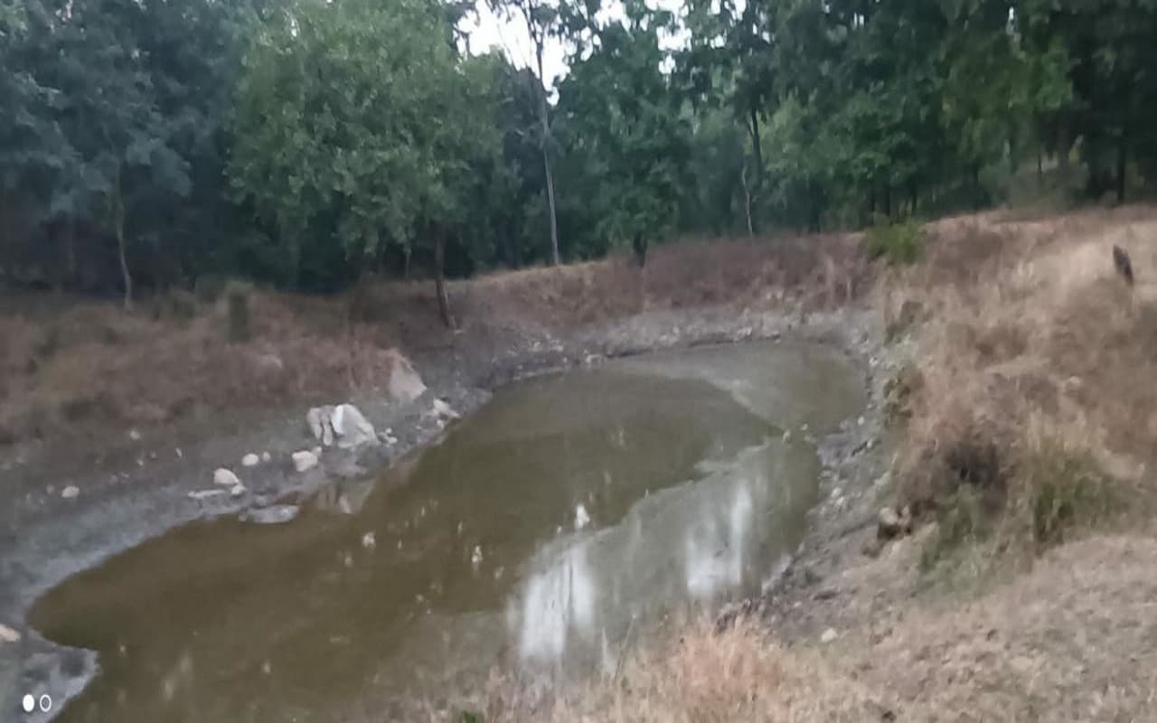बेतला नेशनल पार्क : जलाशयों में पानी कम, बढ़ सकती है जानवरों की परेशानी, वन विभाग की क्या है तैयारी ?