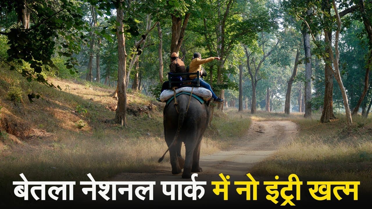 VIDEO: नो एंट्री खत्म, तीन महीने बाद पर्यटकों से गुलजार हुआ बेतला नेशनल पार्क