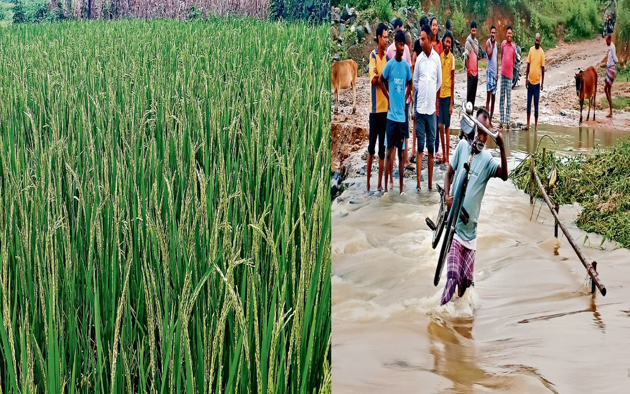 झारखंड में ‘हथिया’ की बारिश से खिल उठे किसान, कई घरों में घुसा पानी, लोगों की बढ़ी परेशानी