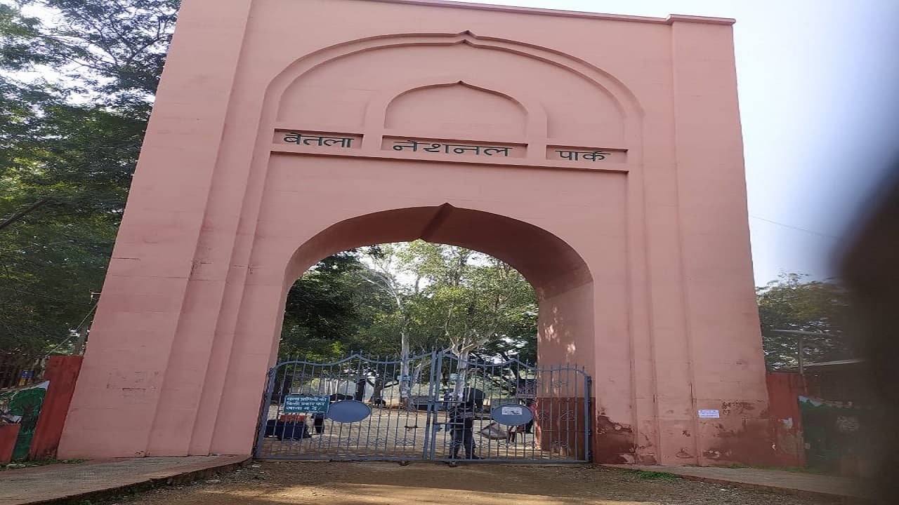 झारखंड का बेतला नेशनल पार्क बंद रहने से निराश लौट रहे पर्यटक, कोरोना से कितना प्रभावित हुआ पर्यटन उद्योग झारखंड का बेतला नेशनल पार्क बंद रहने से निराश लौट रहे पर्यटक, कोरोना से कितना प्रभावित हुआ पर्यटन उद्योग