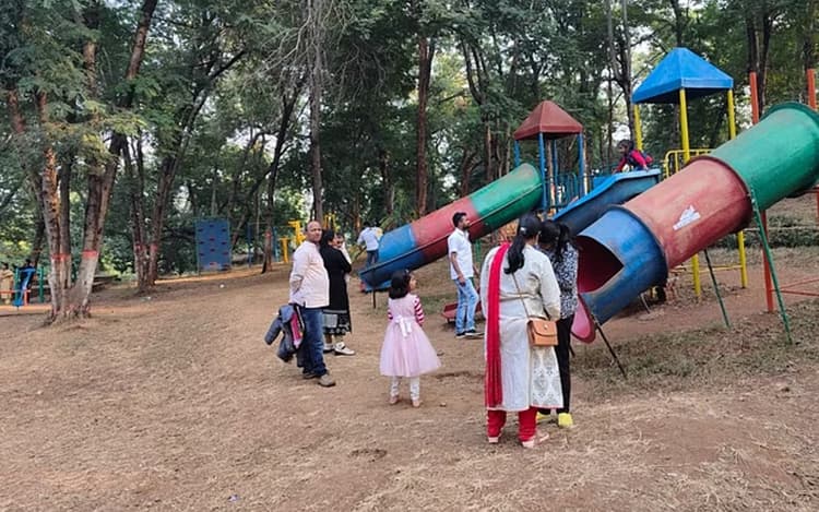 सर्दी में सैलानियों से गुलजार हुआ बेतला नेशनल पार्क, वीकेंड डेस्टिनेशन बना, तो लोगों को मिलने लगा रोजगार