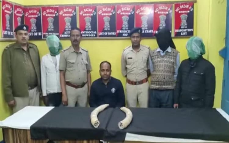 पश्चिम बंगाल: हाथी दांत की तस्करी करने वाले बड़े गिरोह का खुलासा, 50 लाख का हाथी दांत जब्त, 3 तस्कर अरेस्ट