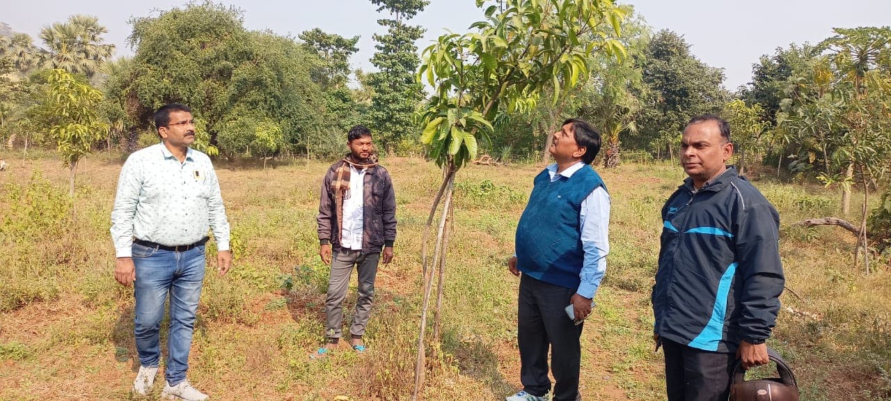 बिरसा हरित ग्राम योजना के तहत बागवानी करने के लिए लाभुक का किया जा रहा चयन, ऐसे करें आवेदन बिरसा हरित ग्राम योजना के तहत बागवानी करने के लिए लाभुक का किया जा रहा चयन, ऐसे करें आवेदन